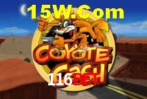 Player Reviews 116Bet